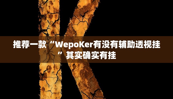 实测教程”新金龙大厅透视挂”(原来确实是有挂)