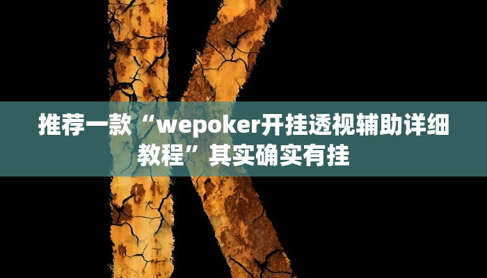 实测教程”九酷大厅开挂透视软件”(原来确实是有挂)
