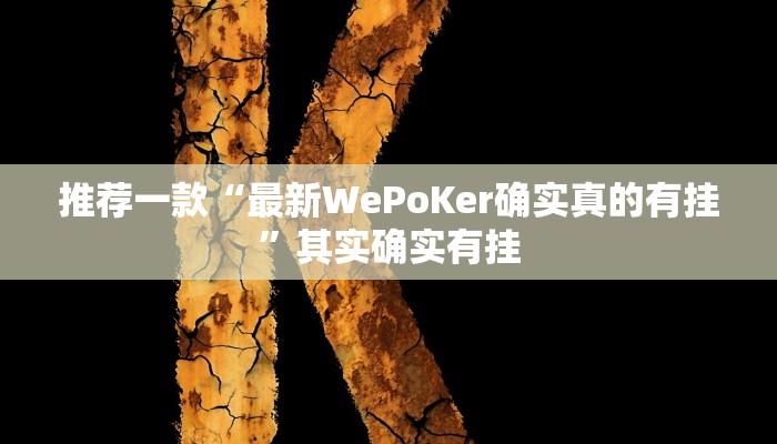 实测教程”HHpoker透视底牌软件”(原来确实是有挂)