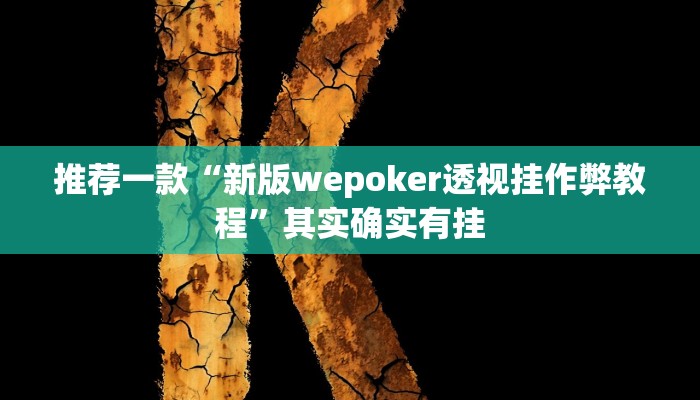 实测教程”WePOKer辅助挂透视软件”(原来确实是有挂)