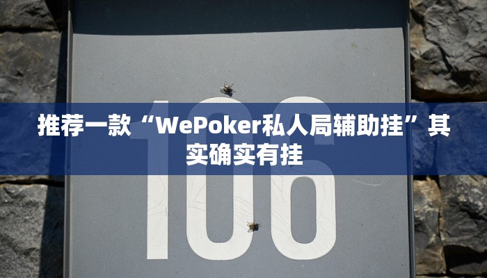 辅助神器“长乐上品十三水辅助软件”详细开挂教程