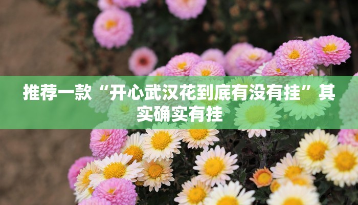 实测辅助”畅享新娱辅助器下载”其实确实有挂