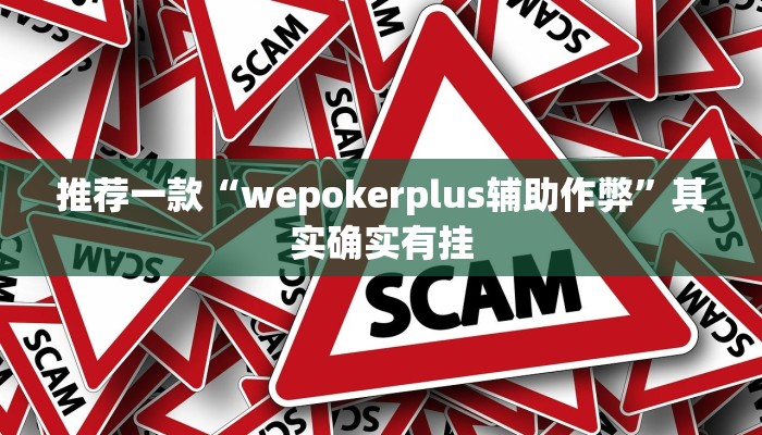 实测教程”HHpoker的辅助是真的吗”(原来确实是有挂)