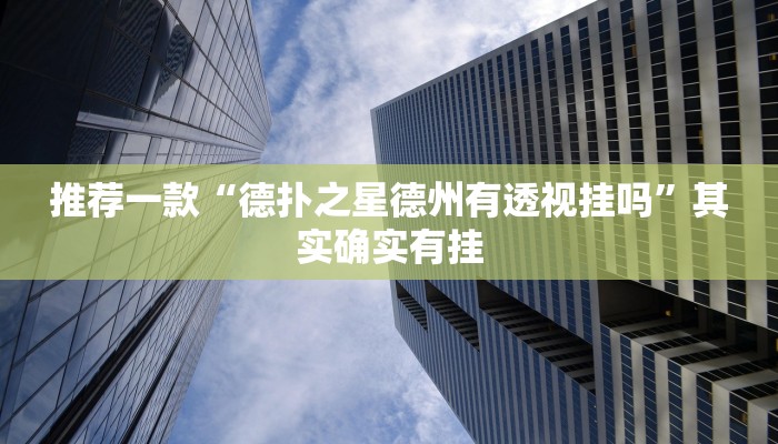 实测辅助”八闽十三张透视挂”详细开挂教程