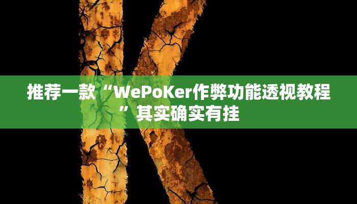 开挂辅助工具“新道游棋牌透视作弊”详细开挂教程