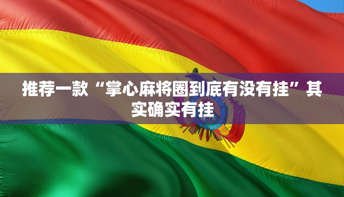 开挂辅助工具“四方河南麻将挂先试用后付款”其实确实有挂