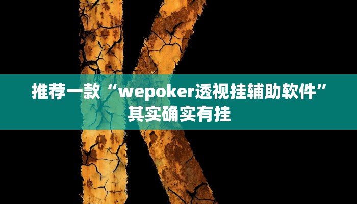 实测教程”HHpoker辅助透视挂”(原来确实是有挂)