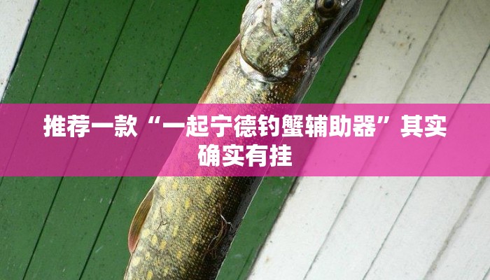 辅助神器“边锋干瞪眼怎么开挂”其实确实有挂