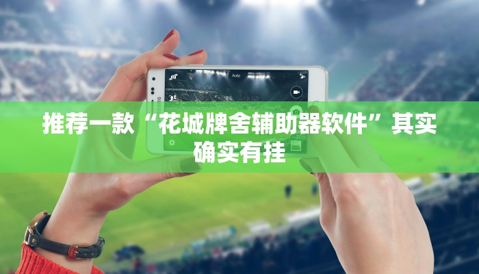 实测教程”wpk德州到底有没有辅助软件”(原来确实是有挂)