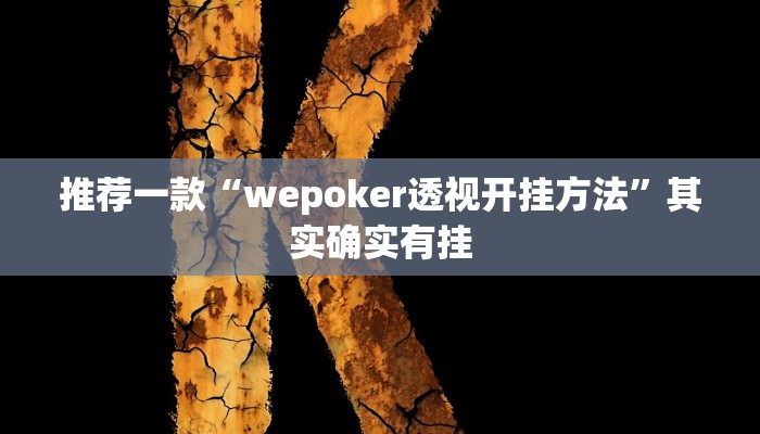 开挂辅助工具“微乐过炸开挂神器”其实确实有挂