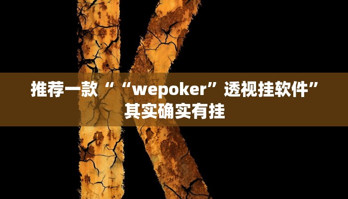 实测教程”wepoker辅助器透视挂”(原来确实是有挂)