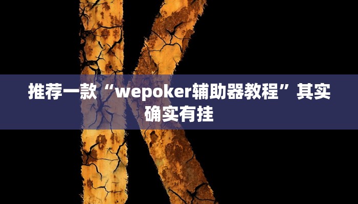 实测教程”德扑之星作弊透视免费”(原来确实是有挂)