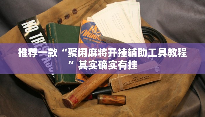 实测教程”WePoker辅助挂透视软件”(原来确实是有挂)