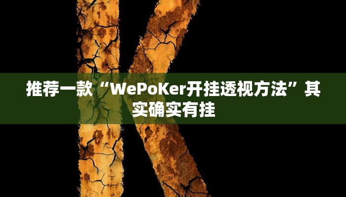 实测教程”网易棋牌安装什么外挂软件”(原来确实是有挂)