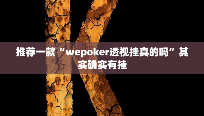 实测教程”德州WePOker透视作弊方法”(原来确实是有挂)