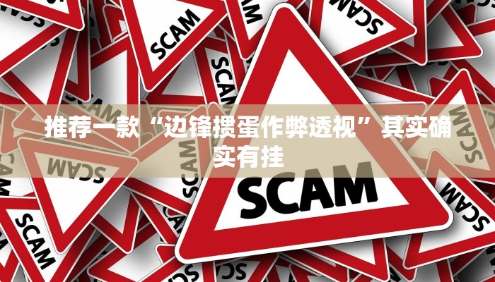 实测教程”wepoker轻量版透视挂辅助”(原来确实是有挂)