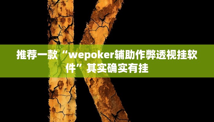 实测辅助”海洋十三水开挂辅助器”其实确实有挂