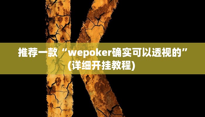 实测教程”WePoker辅助透视挂软件”(原来确实是有挂)