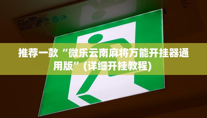 实测教程”wepoker开挂”(原来确实是有挂)