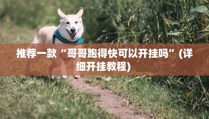 实测教程”wepokerplus透视挂作弊软件”(原来确实是有挂)