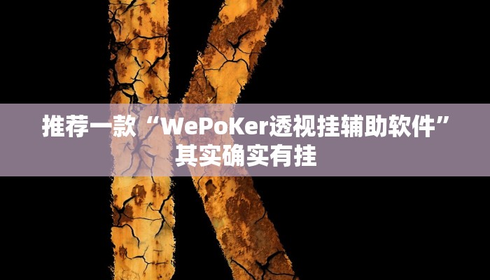 开挂辅助工具“微乐捉老麻子外卦神器下载安装”详细开挂教程