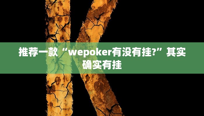 实测教程”小程序微乐四川麻将外卦神器下载安装”(原来确实是有挂)