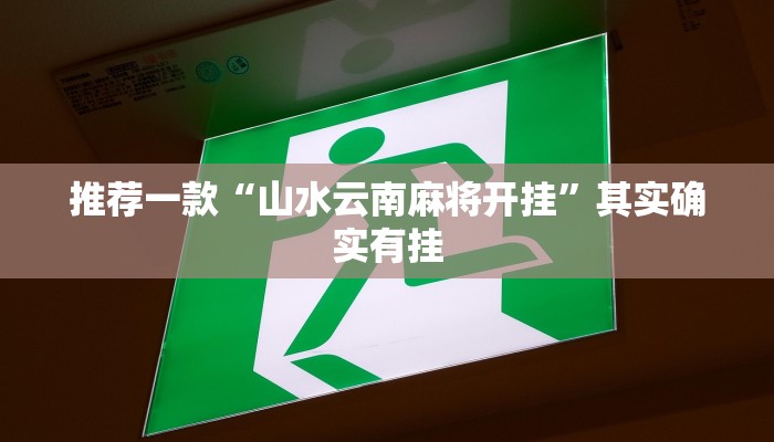 实测辅助”皇豪互娱有透视软件吗”详细开挂教程