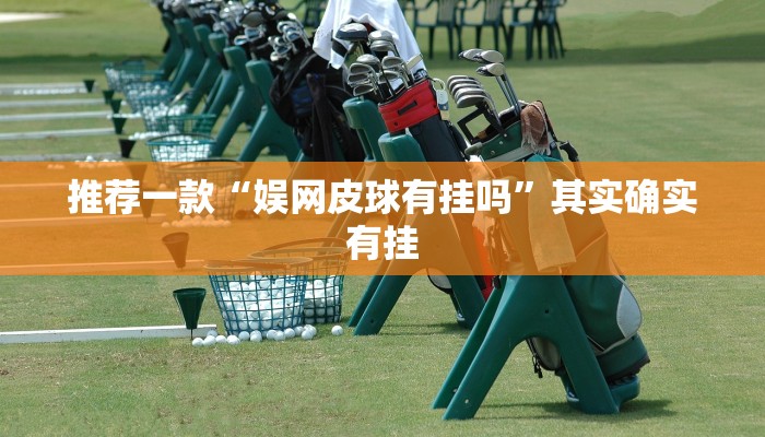 实测教程”微乐河南麻将外卦神器下载”(原来确实是有挂)