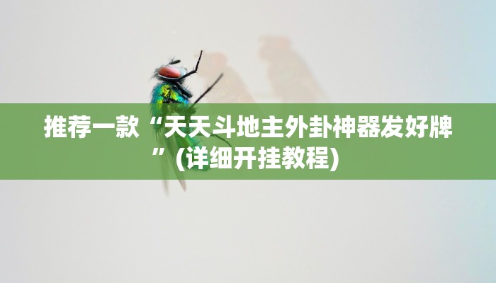 辅助神器“算番宝典可以开挂吗”其实确实有挂