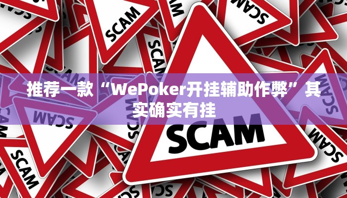 实测教程”广西八一字牌有没有开挂功能”(原来确实是有挂)