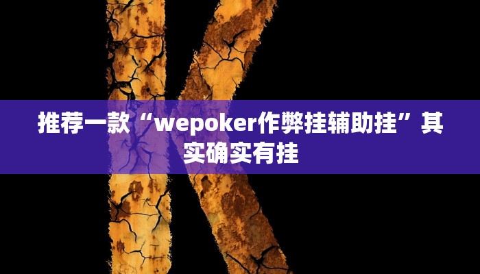 开挂辅助工具“中至吉安王炸开挂神器”详细开挂教程