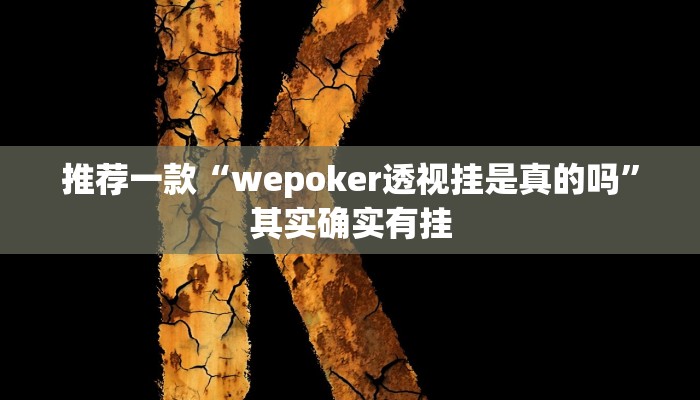 实测教程”乐乐上海麻将必胜软件”(原来确实是有挂)