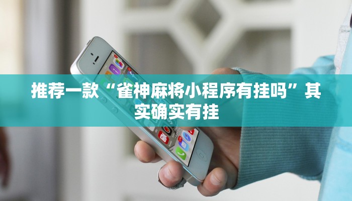 实测教程”罗松十三水透视挂软件”(原来确实是有挂)