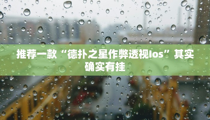 辅助神器“桂林字牌开挂辅助器”其实确实有挂