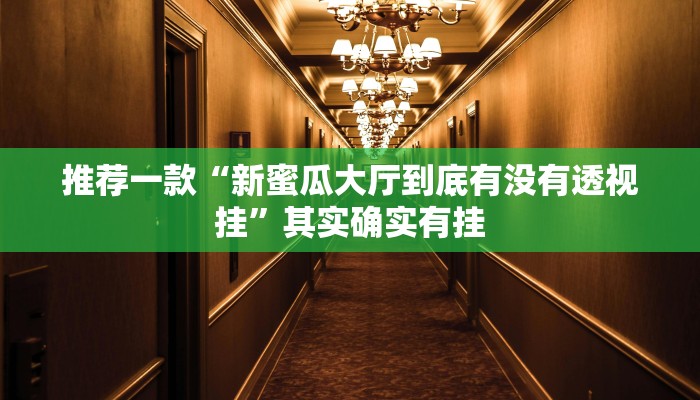 实测教程”WepoKer到底有透视软件挂吗”(原来确实是有挂)