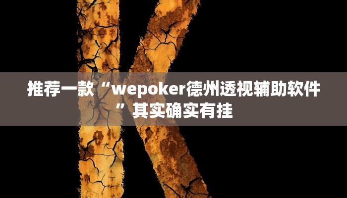 实测教程”AAPOKER辅助透视”(原来确实是有挂)