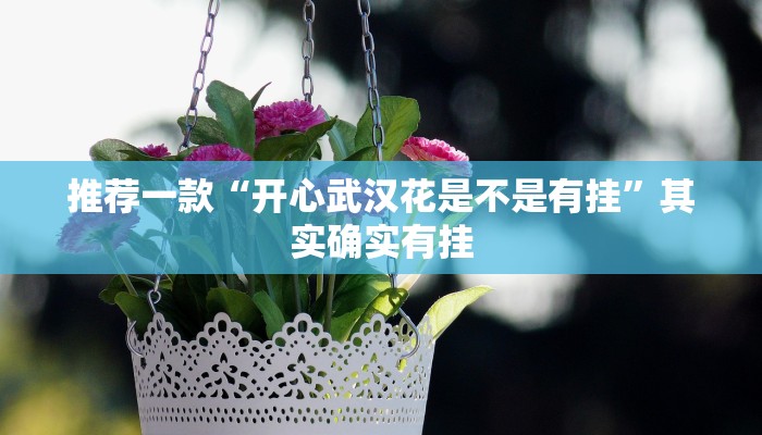 辅助神器“朱雀开心罗松可以开挂吗”其实确实有挂