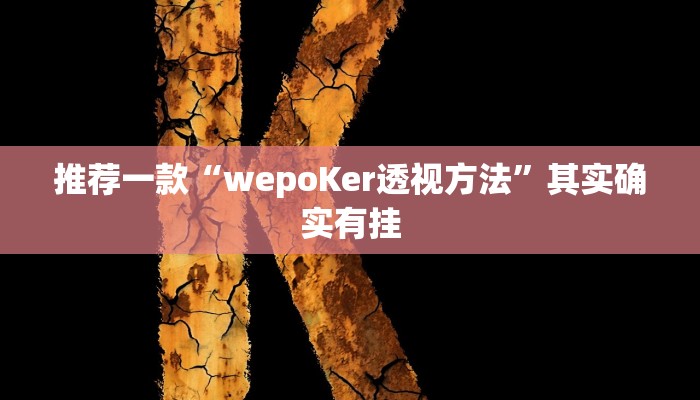 实测教程”微乐捉老麻子外卦神器下载安装”(原来确实是有挂)