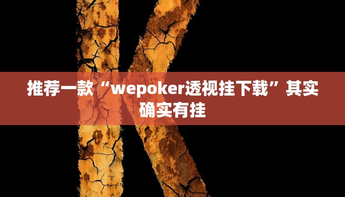 实测教程”德扑之星透视软件方法”(原来确实是有挂)
