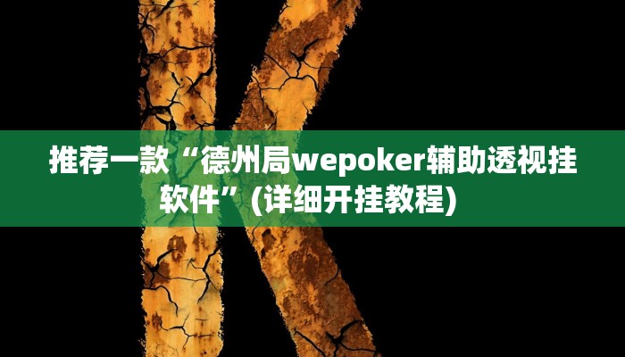 实测教程”WePoker辅助挂透视软件”(原来确实是有挂)