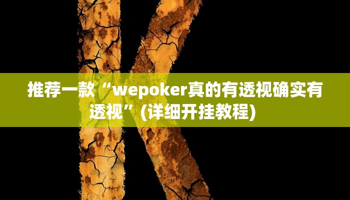 实测教程”德州局WePoker透视挂破解版”(原来确实是有挂)