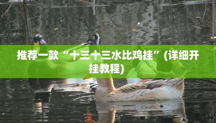 实测教程”hhpoker真的有透视吗”(原来确实是有挂)