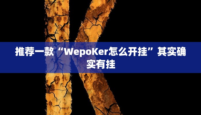 实测教程”wepoker辅助开挂方法”(原来确实是有挂)
