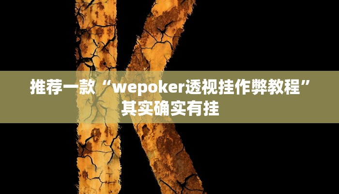 实测教程”财神十三张开挂透视”(原来确实是有挂)
