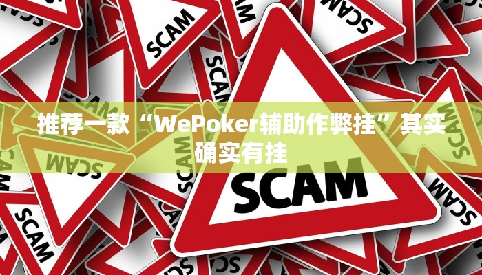 实测教程”“wepoKer可以透视吗””(原来确实是有挂)