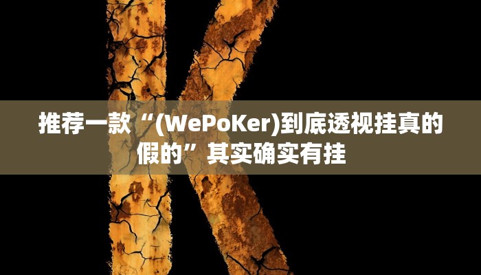 辅助神器“云梦司缘游戏辅助透视”其实确实有挂