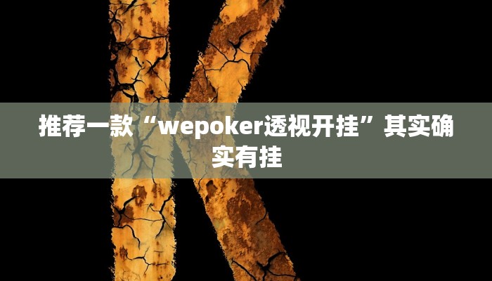 实测辅助”吉祥填大坑透视软件”其实确实有挂