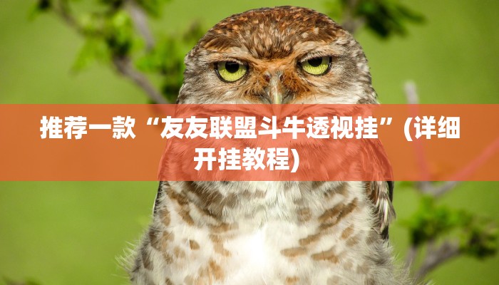 实测辅助”蜀山四川麻将小程序必赢神器”详细开挂教程