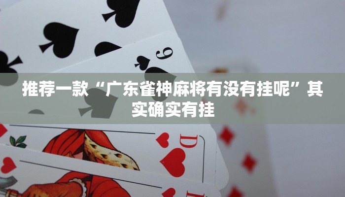 实测教程”wepoker透视挂作弊开挂”(原来确实是有挂)