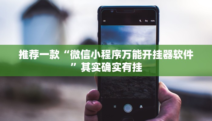 实测教程”同城跑胡子有挂吗”(原来确实是有挂)